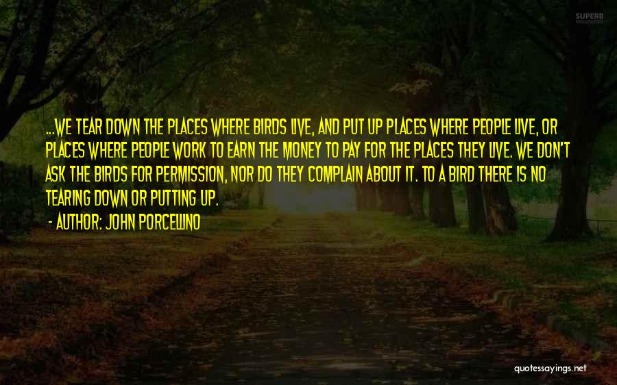 John Porcellino Quotes: ...we Tear Down The Places Where Birds Live, And Put Up Places Where People Live, Or Places Where People Work