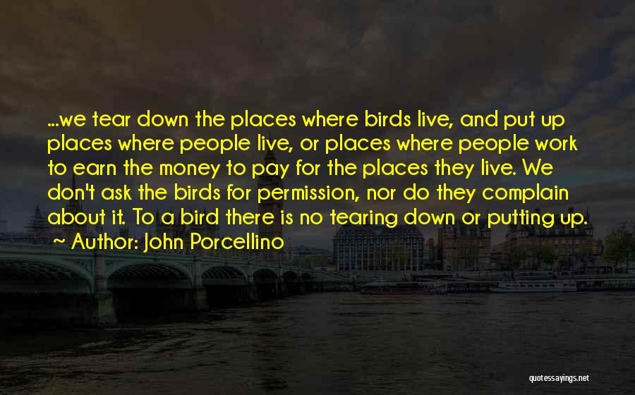 John Porcellino Quotes: ...we Tear Down The Places Where Birds Live, And Put Up Places Where People Live, Or Places Where People Work