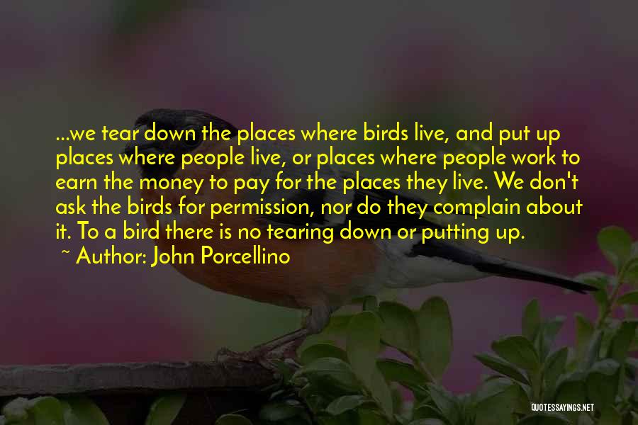 John Porcellino Quotes: ...we Tear Down The Places Where Birds Live, And Put Up Places Where People Live, Or Places Where People Work