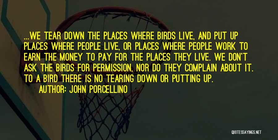John Porcellino Quotes: ...we Tear Down The Places Where Birds Live, And Put Up Places Where People Live, Or Places Where People Work