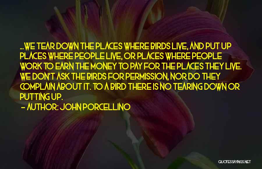 John Porcellino Quotes: ...we Tear Down The Places Where Birds Live, And Put Up Places Where People Live, Or Places Where People Work