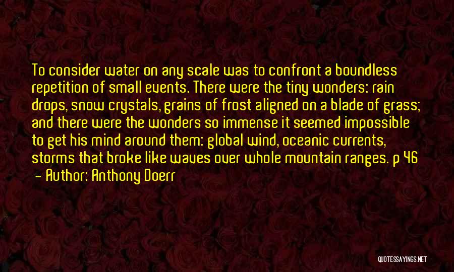 Anthony Doerr Quotes: To Consider Water On Any Scale Was To Confront A Boundless Repetition Of Small Events. There Were The Tiny Wonders: