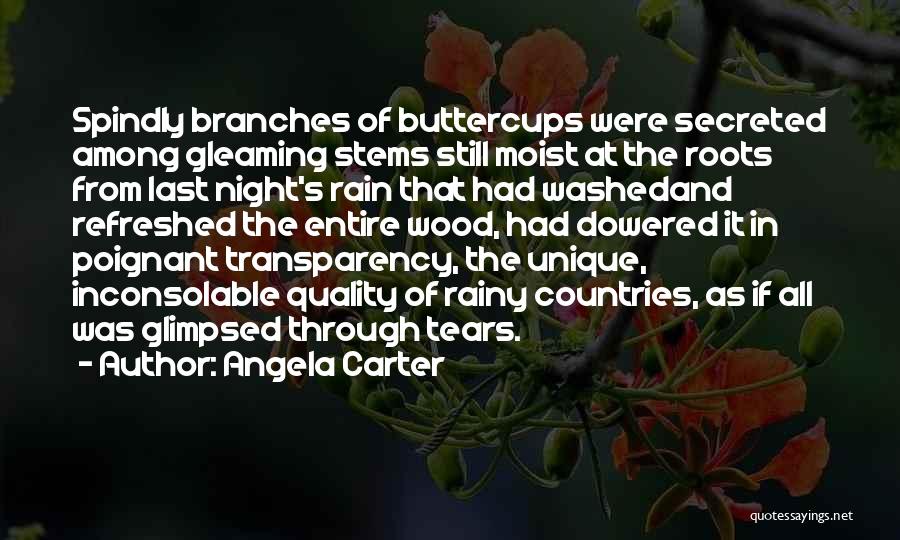Angela Carter Quotes: Spindly Branches Of Buttercups Were Secreted Among Gleaming Stems Still Moist At The Roots From Last Night's Rain That Had