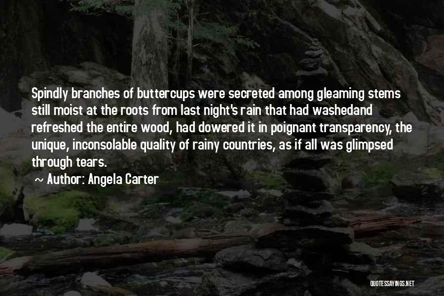 Angela Carter Quotes: Spindly Branches Of Buttercups Were Secreted Among Gleaming Stems Still Moist At The Roots From Last Night's Rain That Had