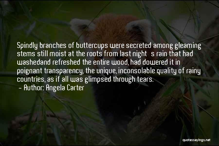 Angela Carter Quotes: Spindly Branches Of Buttercups Were Secreted Among Gleaming Stems Still Moist At The Roots From Last Night's Rain That Had