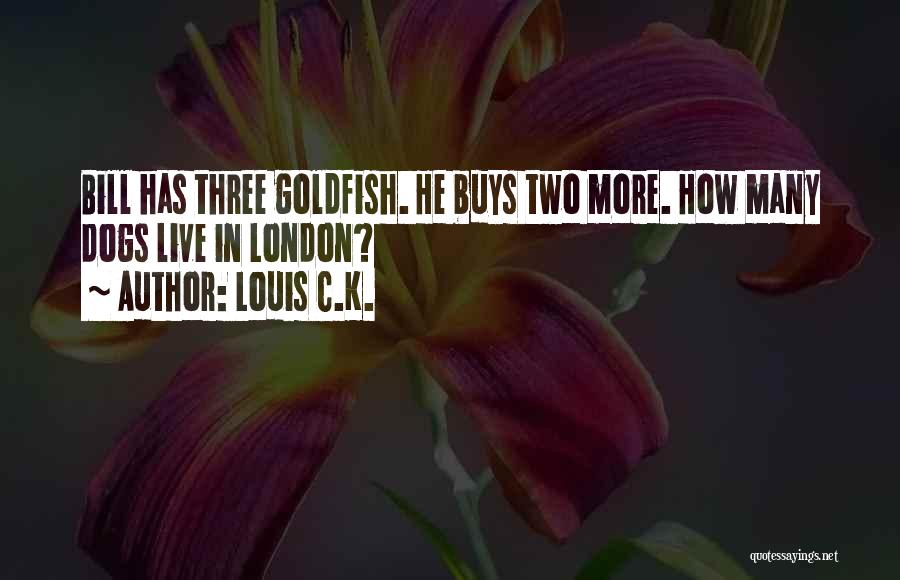 Louis C.K. Quotes: Bill Has Three Goldfish. He Buys Two More. How Many Dogs Live In London?