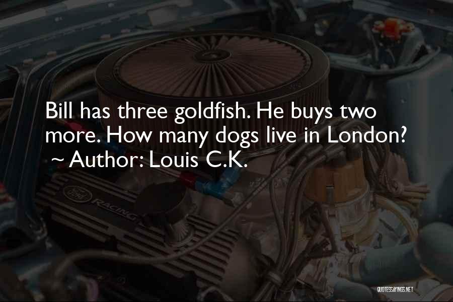 Louis C.K. Quotes: Bill Has Three Goldfish. He Buys Two More. How Many Dogs Live In London?