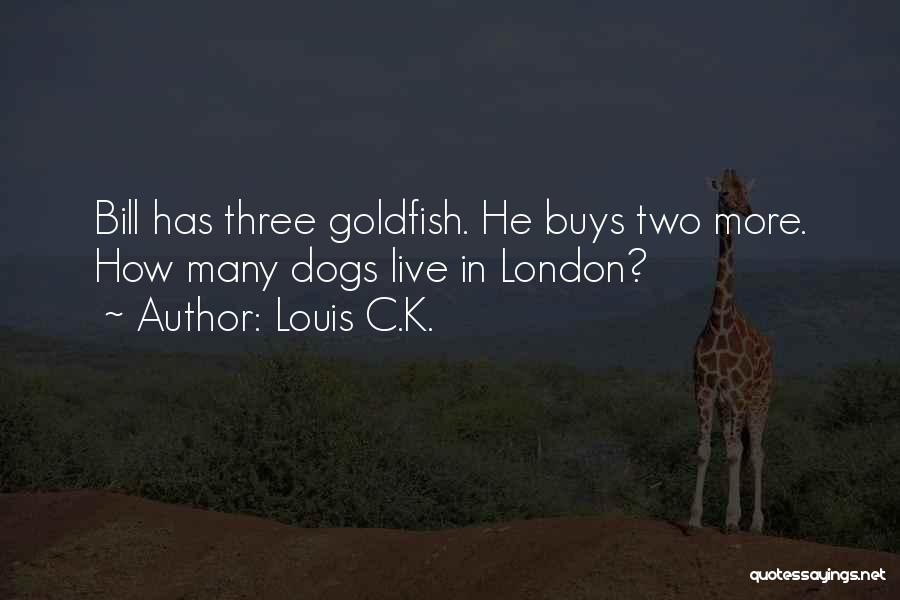 Louis C.K. Quotes: Bill Has Three Goldfish. He Buys Two More. How Many Dogs Live In London?