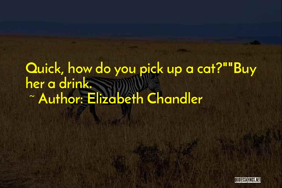 Elizabeth Chandler Quotes: Quick, How Do You Pick Up A Cat?buy Her A Drink.