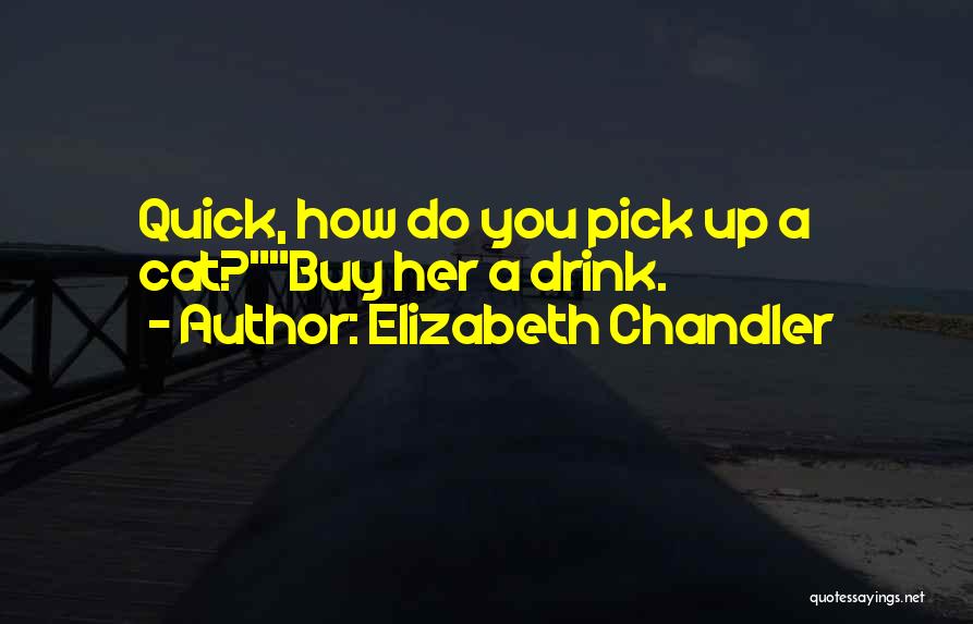 Elizabeth Chandler Quotes: Quick, How Do You Pick Up A Cat?buy Her A Drink.
