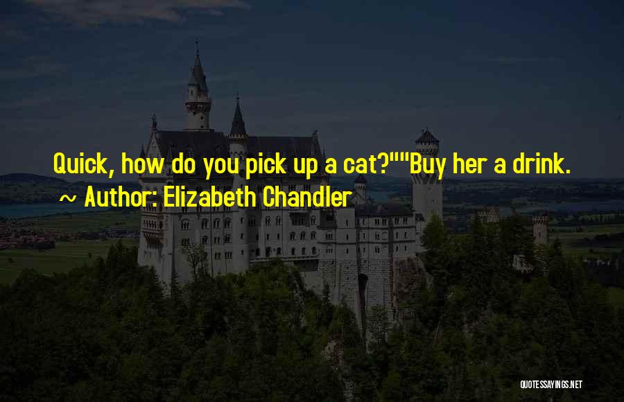 Elizabeth Chandler Quotes: Quick, How Do You Pick Up A Cat?buy Her A Drink.