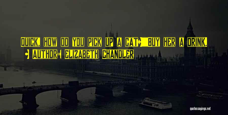 Elizabeth Chandler Quotes: Quick, How Do You Pick Up A Cat?buy Her A Drink.