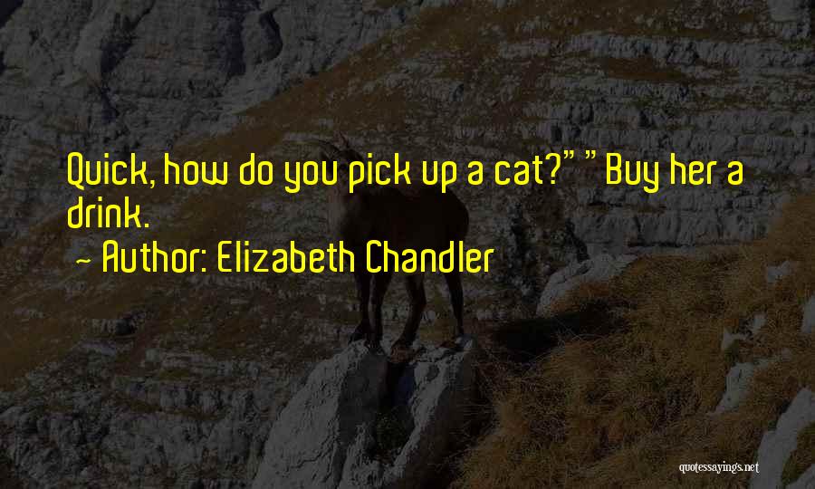 Elizabeth Chandler Quotes: Quick, How Do You Pick Up A Cat?buy Her A Drink.
