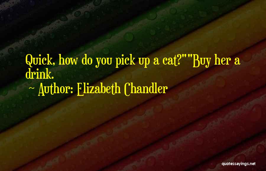 Elizabeth Chandler Quotes: Quick, How Do You Pick Up A Cat?buy Her A Drink.