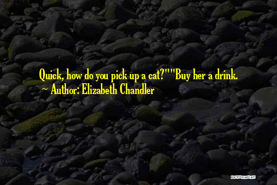 Elizabeth Chandler Quotes: Quick, How Do You Pick Up A Cat?buy Her A Drink.