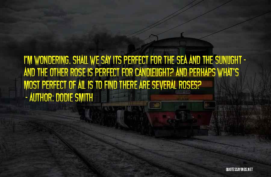 Dodie Smith Quotes: I'm Wondering. Shall We Say Its Perfect For The Sea And The Sunlight - And The Other Rose Is Perfect