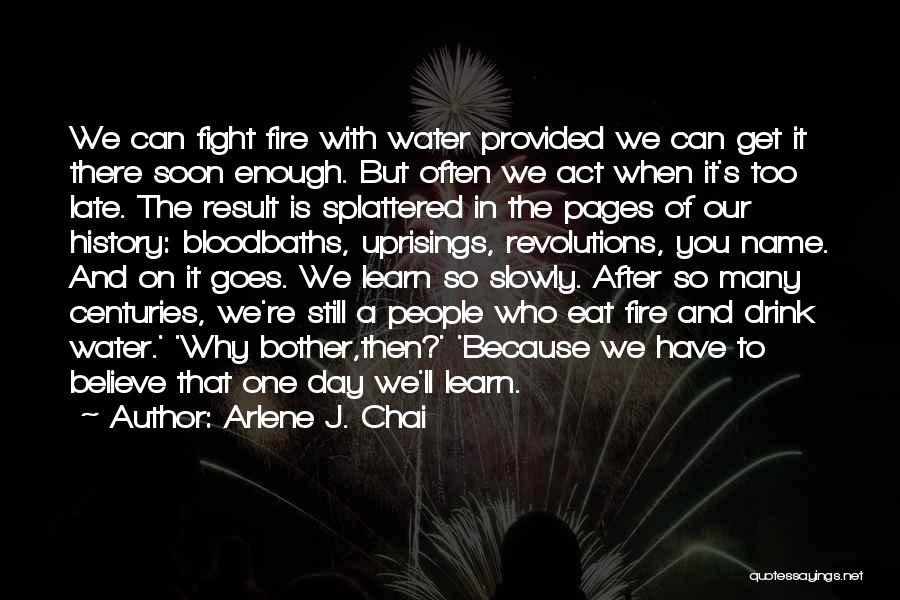 Arlene J. Chai Quotes: We Can Fight Fire With Water Provided We Can Get It There Soon Enough. But Often We Act When It's