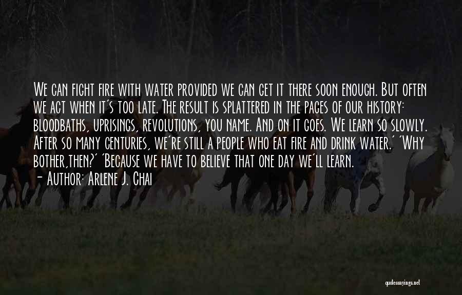 Arlene J. Chai Quotes: We Can Fight Fire With Water Provided We Can Get It There Soon Enough. But Often We Act When It's