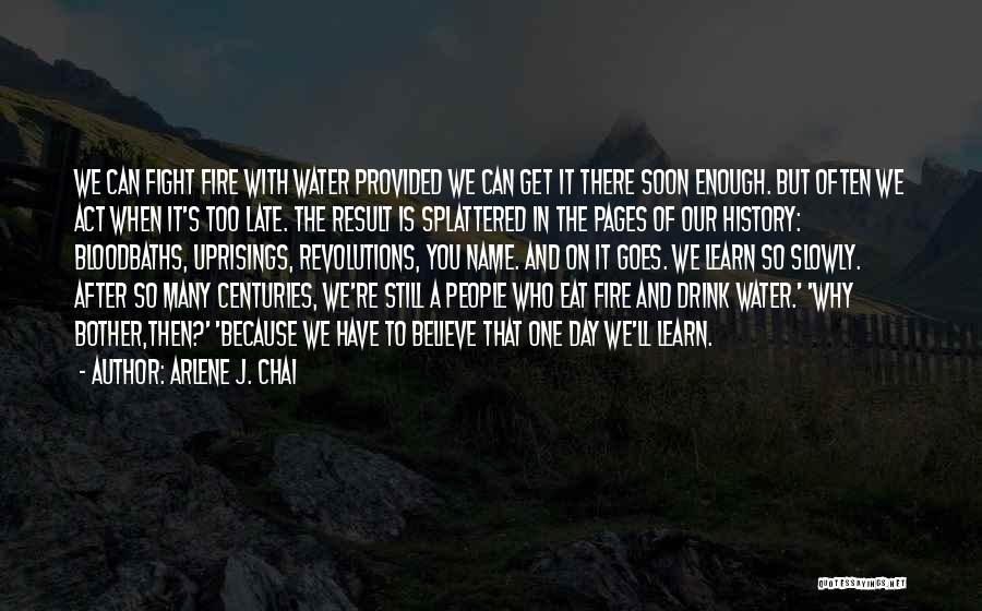 Arlene J. Chai Quotes: We Can Fight Fire With Water Provided We Can Get It There Soon Enough. But Often We Act When It's