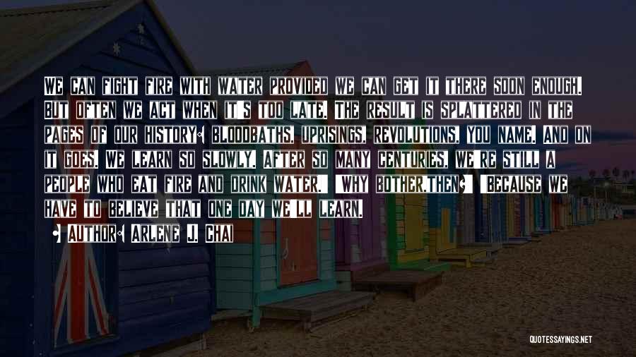 Arlene J. Chai Quotes: We Can Fight Fire With Water Provided We Can Get It There Soon Enough. But Often We Act When It's