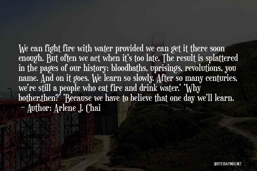 Arlene J. Chai Quotes: We Can Fight Fire With Water Provided We Can Get It There Soon Enough. But Often We Act When It's