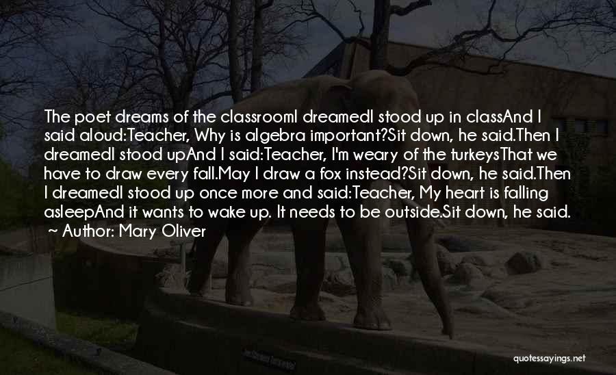 Mary Oliver Quotes: The Poet Dreams Of The Classroomi Dreamedi Stood Up In Classand I Said Aloud:teacher, Why Is Algebra Important?sit Down, He