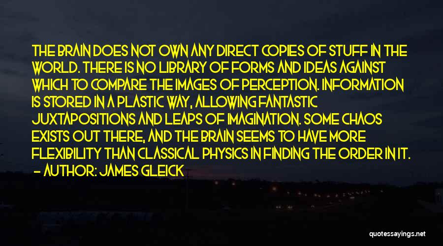 James Gleick Quotes: The Brain Does Not Own Any Direct Copies Of Stuff In The World. There Is No Library Of Forms And