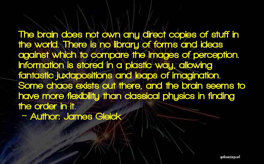 James Gleick Quotes: The Brain Does Not Own Any Direct Copies Of Stuff In The World. There Is No Library Of Forms And