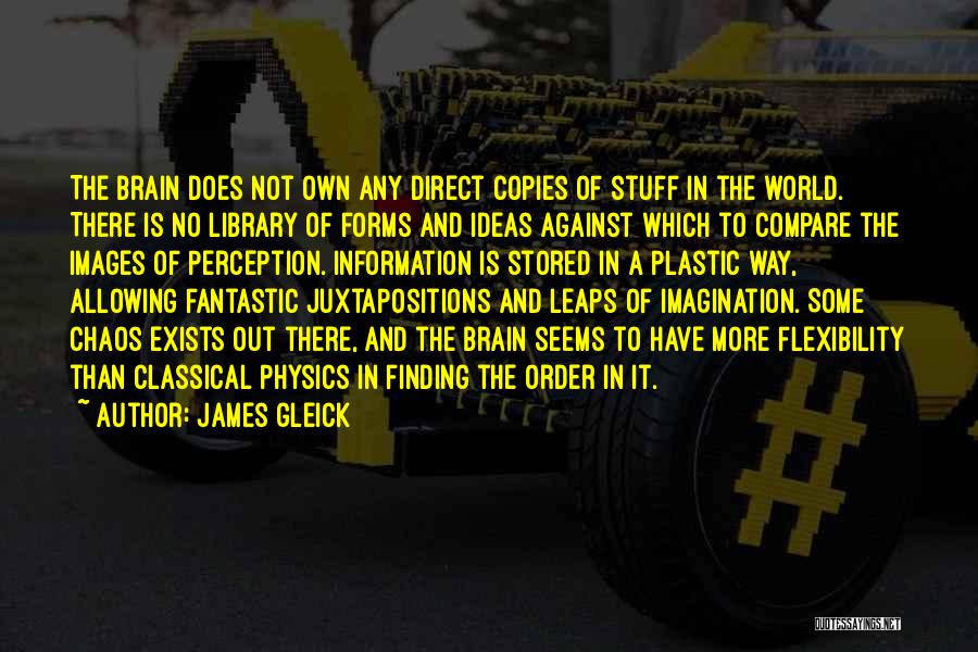 James Gleick Quotes: The Brain Does Not Own Any Direct Copies Of Stuff In The World. There Is No Library Of Forms And