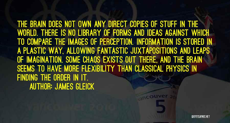 James Gleick Quotes: The Brain Does Not Own Any Direct Copies Of Stuff In The World. There Is No Library Of Forms And