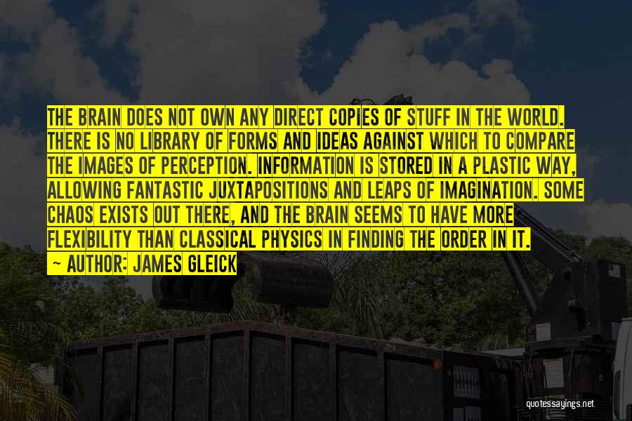 James Gleick Quotes: The Brain Does Not Own Any Direct Copies Of Stuff In The World. There Is No Library Of Forms And