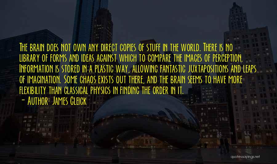 James Gleick Quotes: The Brain Does Not Own Any Direct Copies Of Stuff In The World. There Is No Library Of Forms And