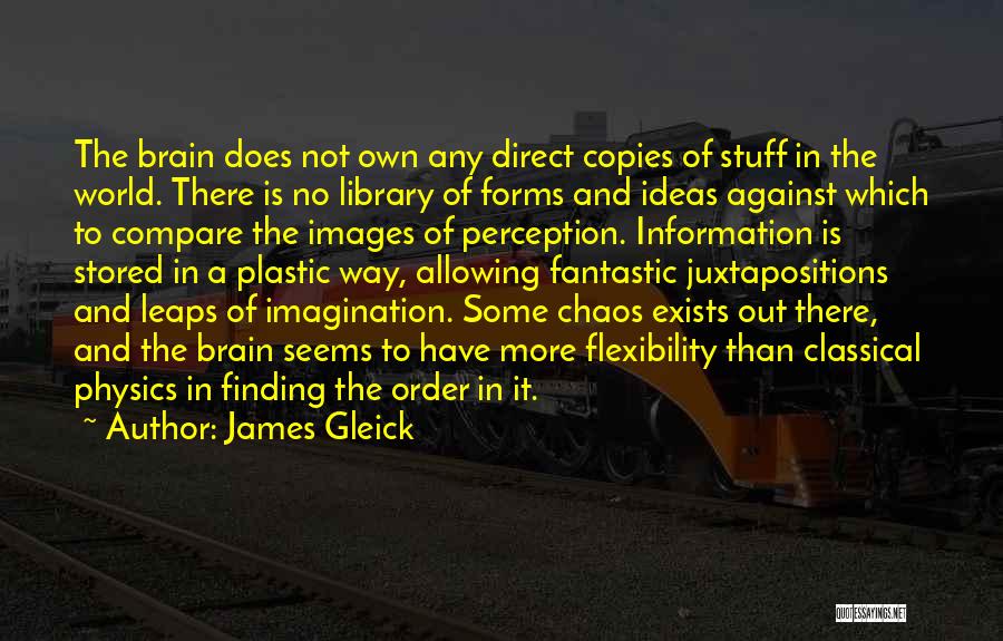 James Gleick Quotes: The Brain Does Not Own Any Direct Copies Of Stuff In The World. There Is No Library Of Forms And