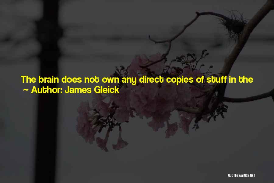 James Gleick Quotes: The Brain Does Not Own Any Direct Copies Of Stuff In The World. There Is No Library Of Forms And