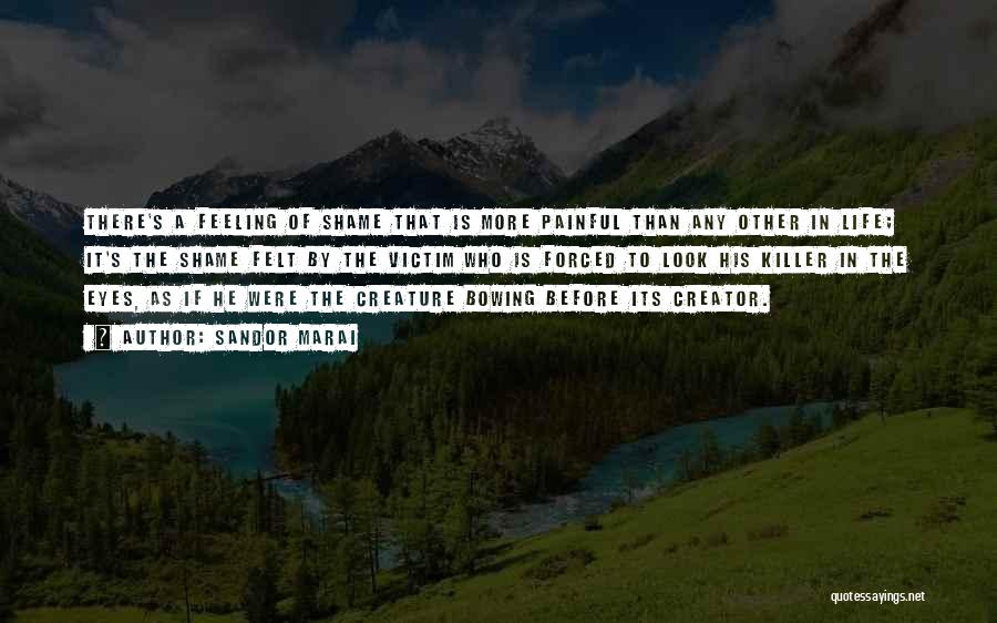 Sandor Marai Quotes: There's A Feeling Of Shame That Is More Painful Than Any Other In Life; It's The Shame Felt By The