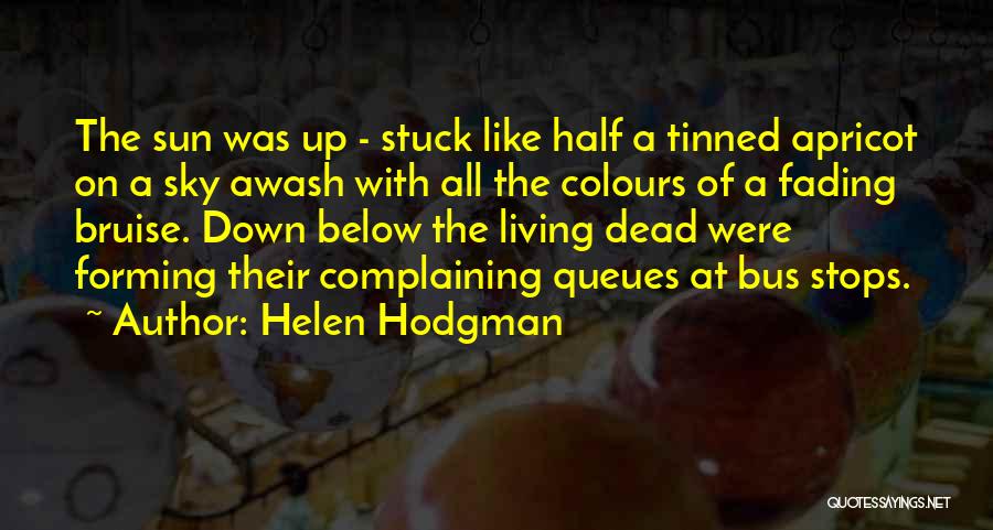 Helen Hodgman Quotes: The Sun Was Up - Stuck Like Half A Tinned Apricot On A Sky Awash With All The Colours Of