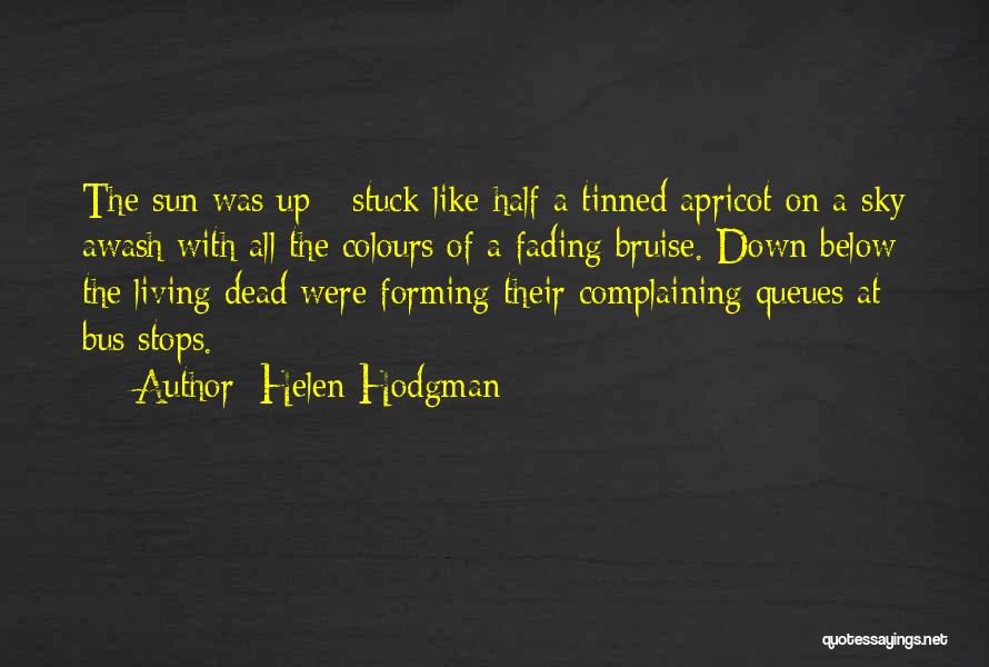 Helen Hodgman Quotes: The Sun Was Up - Stuck Like Half A Tinned Apricot On A Sky Awash With All The Colours Of