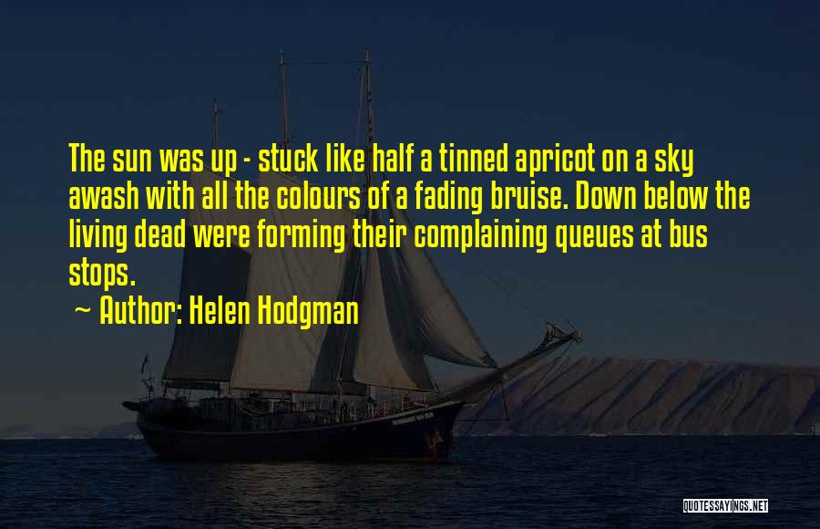 Helen Hodgman Quotes: The Sun Was Up - Stuck Like Half A Tinned Apricot On A Sky Awash With All The Colours Of