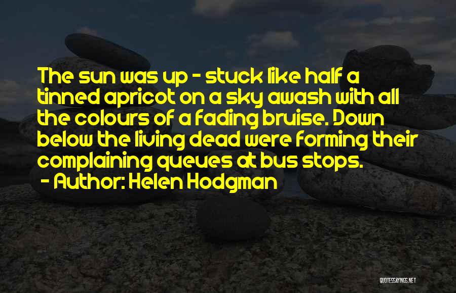 Helen Hodgman Quotes: The Sun Was Up - Stuck Like Half A Tinned Apricot On A Sky Awash With All The Colours Of