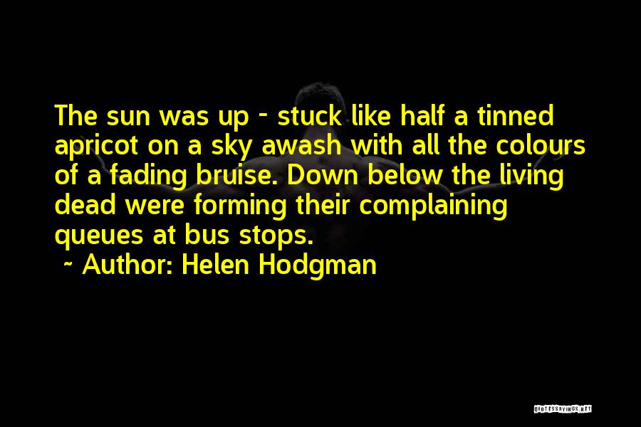 Helen Hodgman Quotes: The Sun Was Up - Stuck Like Half A Tinned Apricot On A Sky Awash With All The Colours Of