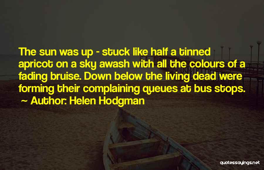 Helen Hodgman Quotes: The Sun Was Up - Stuck Like Half A Tinned Apricot On A Sky Awash With All The Colours Of