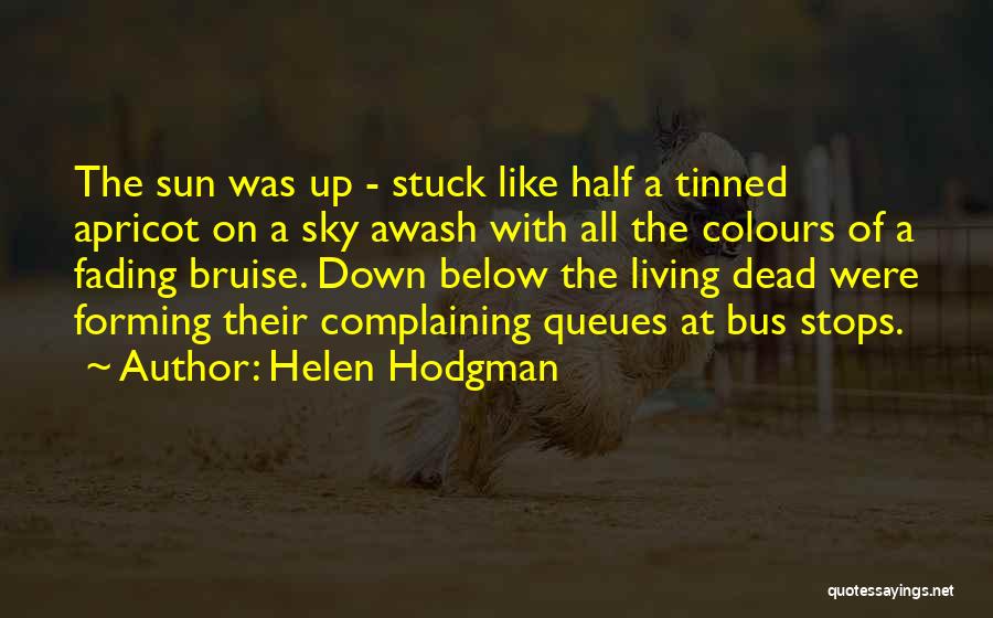 Helen Hodgman Quotes: The Sun Was Up - Stuck Like Half A Tinned Apricot On A Sky Awash With All The Colours Of