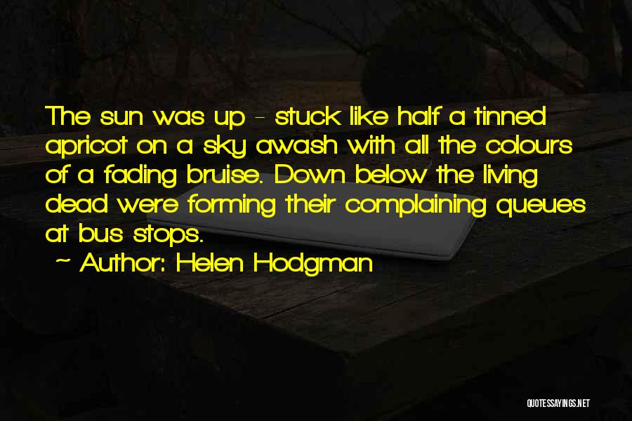 Helen Hodgman Quotes: The Sun Was Up - Stuck Like Half A Tinned Apricot On A Sky Awash With All The Colours Of