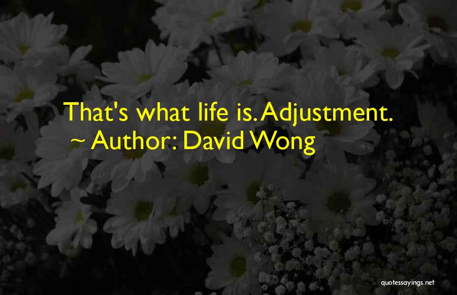 David Wong Quotes: That's What Life Is. Adjustment.