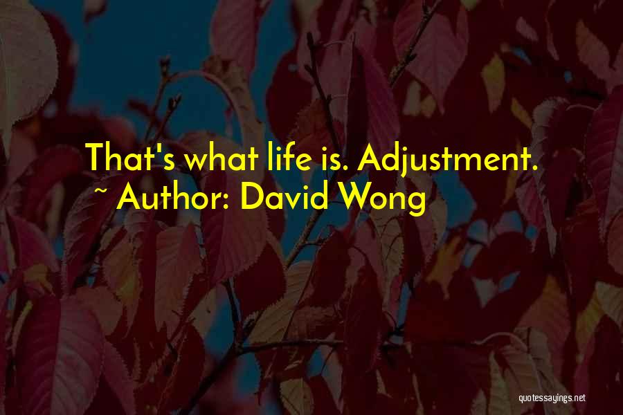 David Wong Quotes: That's What Life Is. Adjustment.