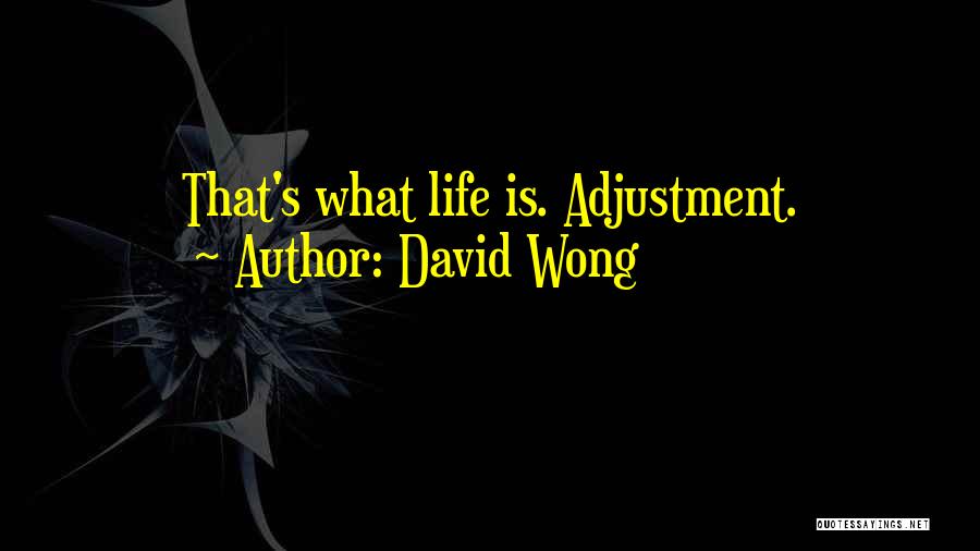 David Wong Quotes: That's What Life Is. Adjustment.