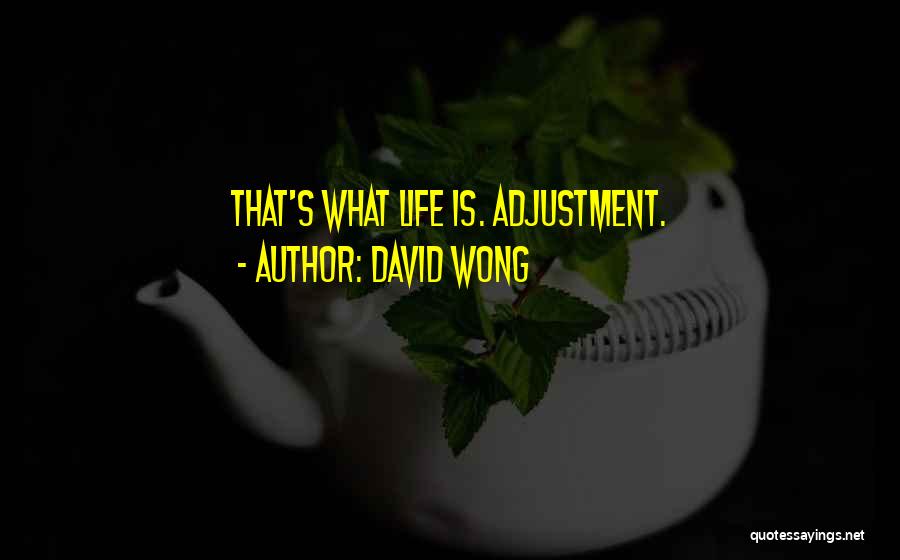 David Wong Quotes: That's What Life Is. Adjustment.