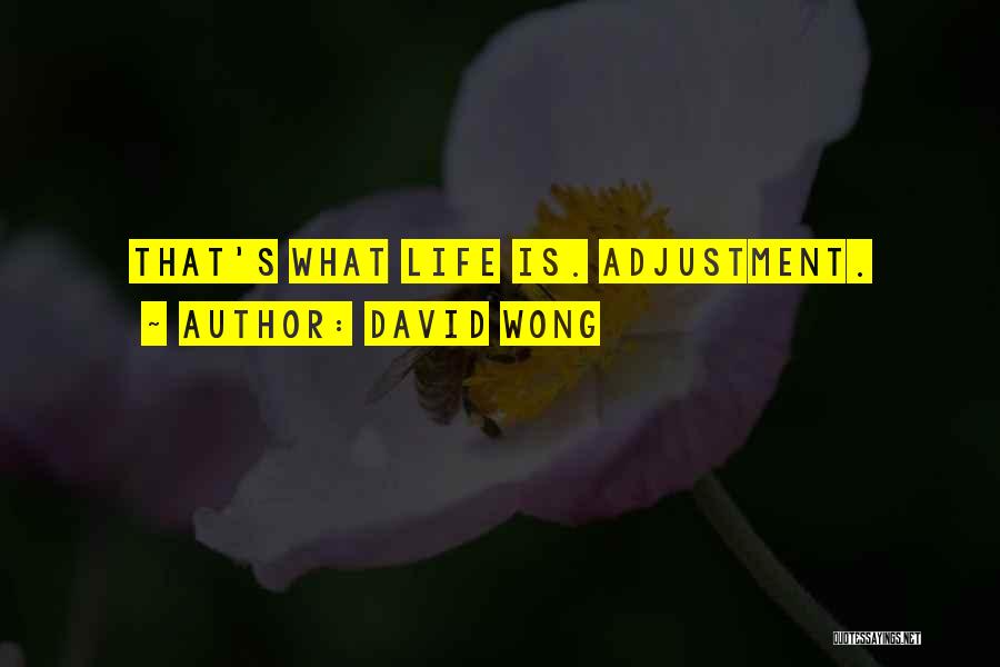 David Wong Quotes: That's What Life Is. Adjustment.