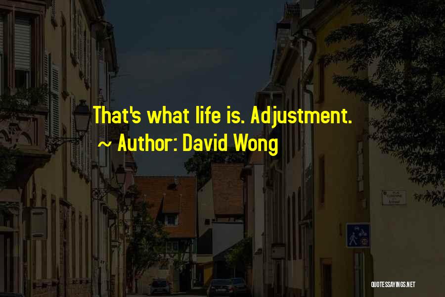 David Wong Quotes: That's What Life Is. Adjustment.