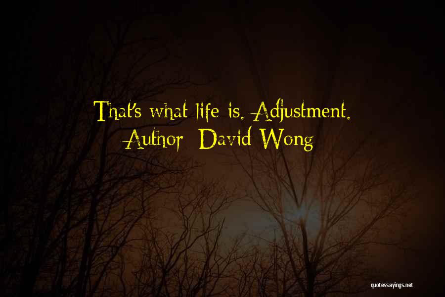 David Wong Quotes: That's What Life Is. Adjustment.
